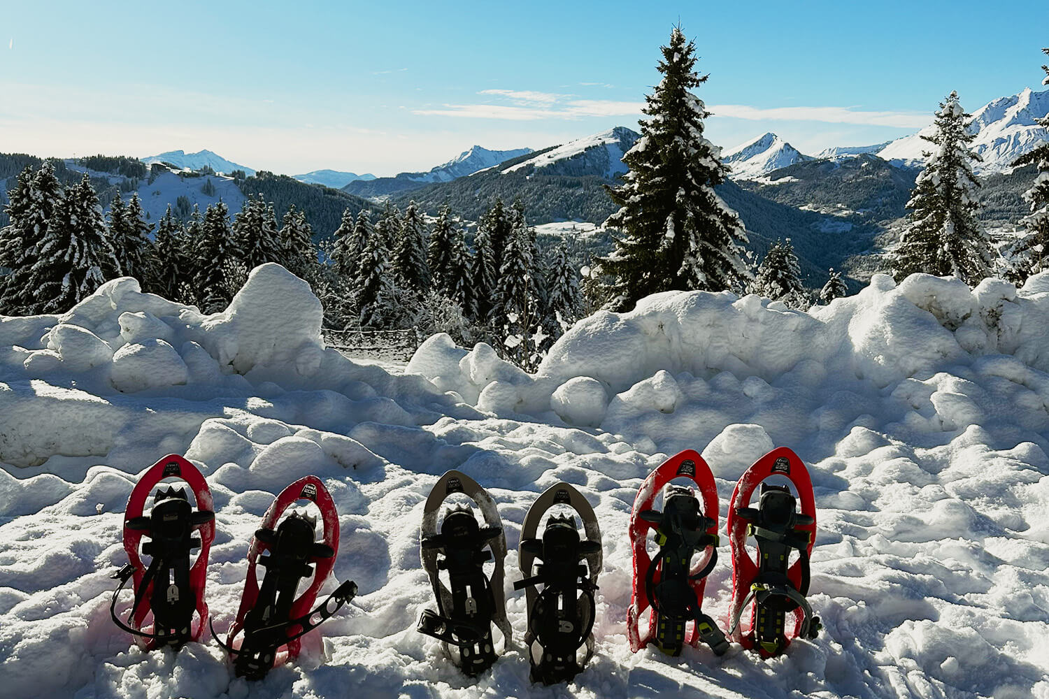 Snowshoeing Retreat in Switzerland near Geneva