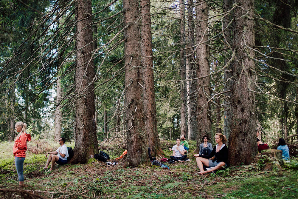 Forest bathing meditation in the French Alps