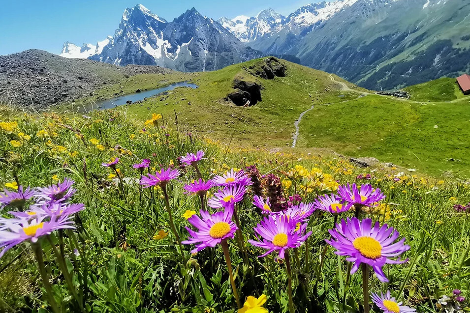 Hiking guide in the Swiss Alps