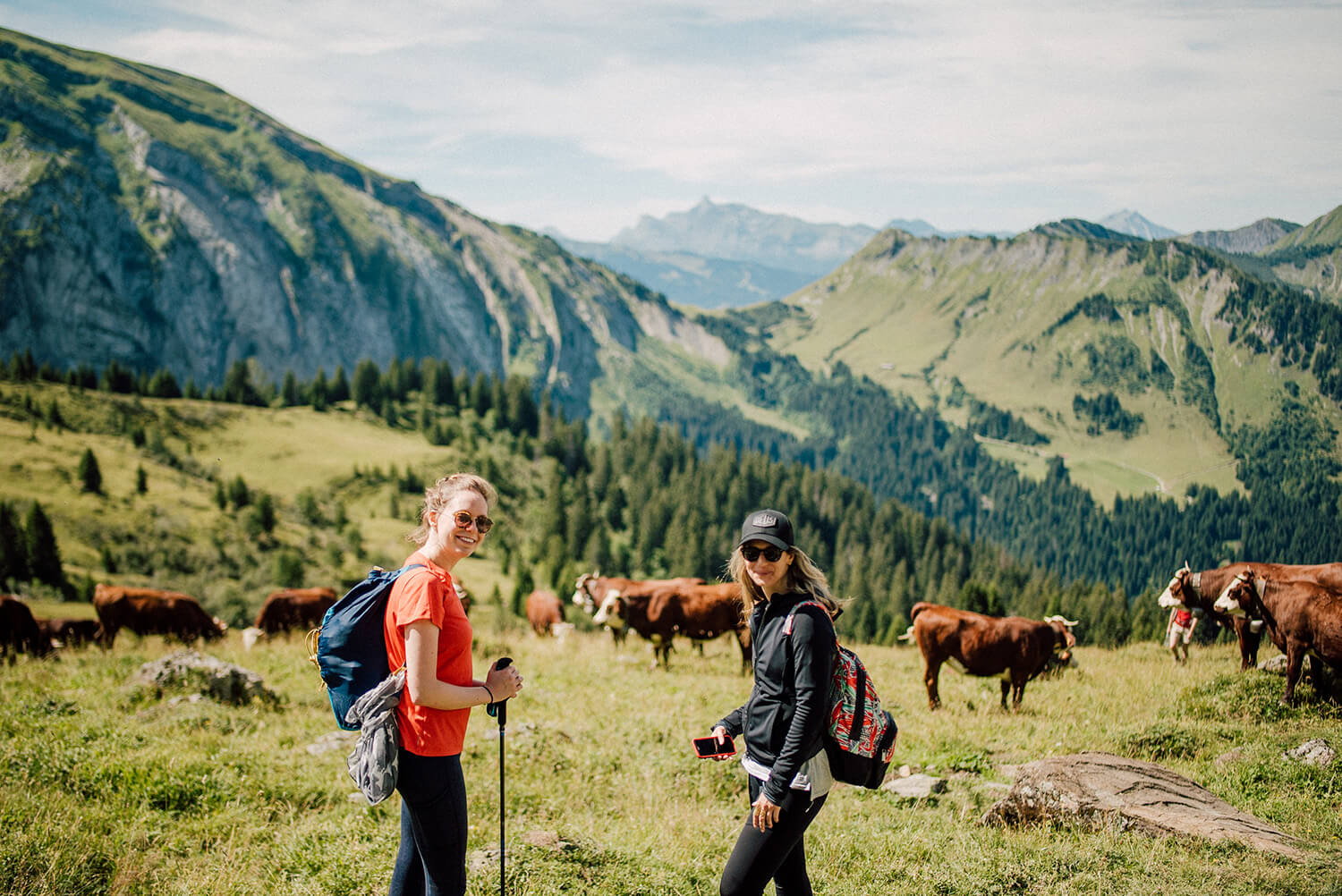 Mindful hiking in the Alps with cows