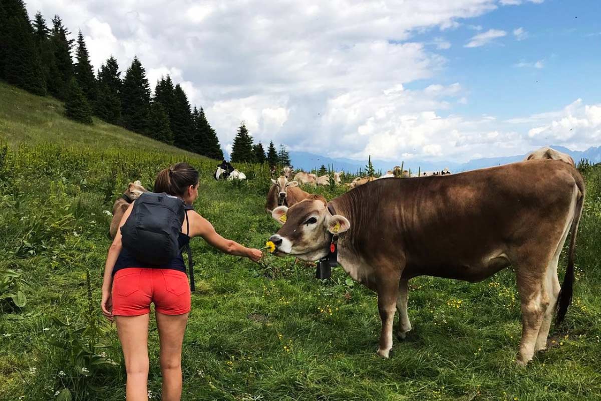 Summer yoga & hiking retreat in the Swiss Alps