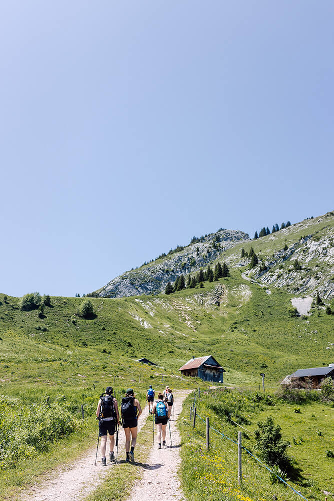 Summer hiking in the Alps
