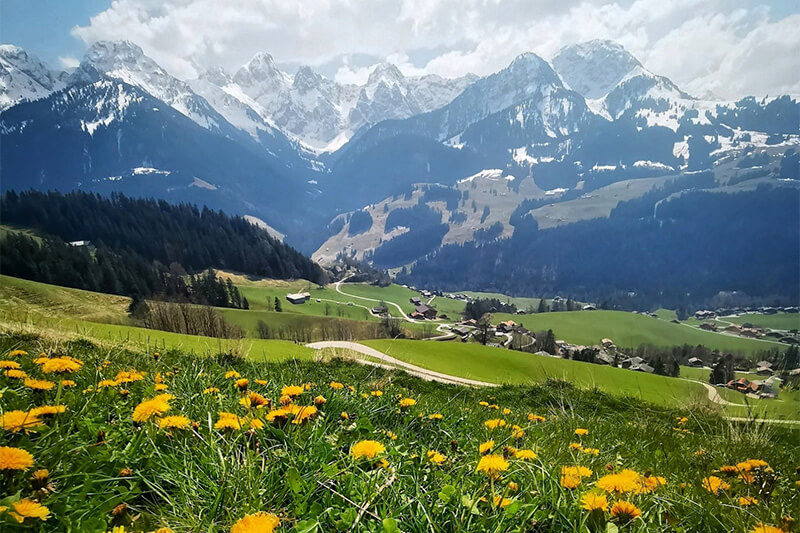 Spring Yoga & Hiking Retreat in Switzerland