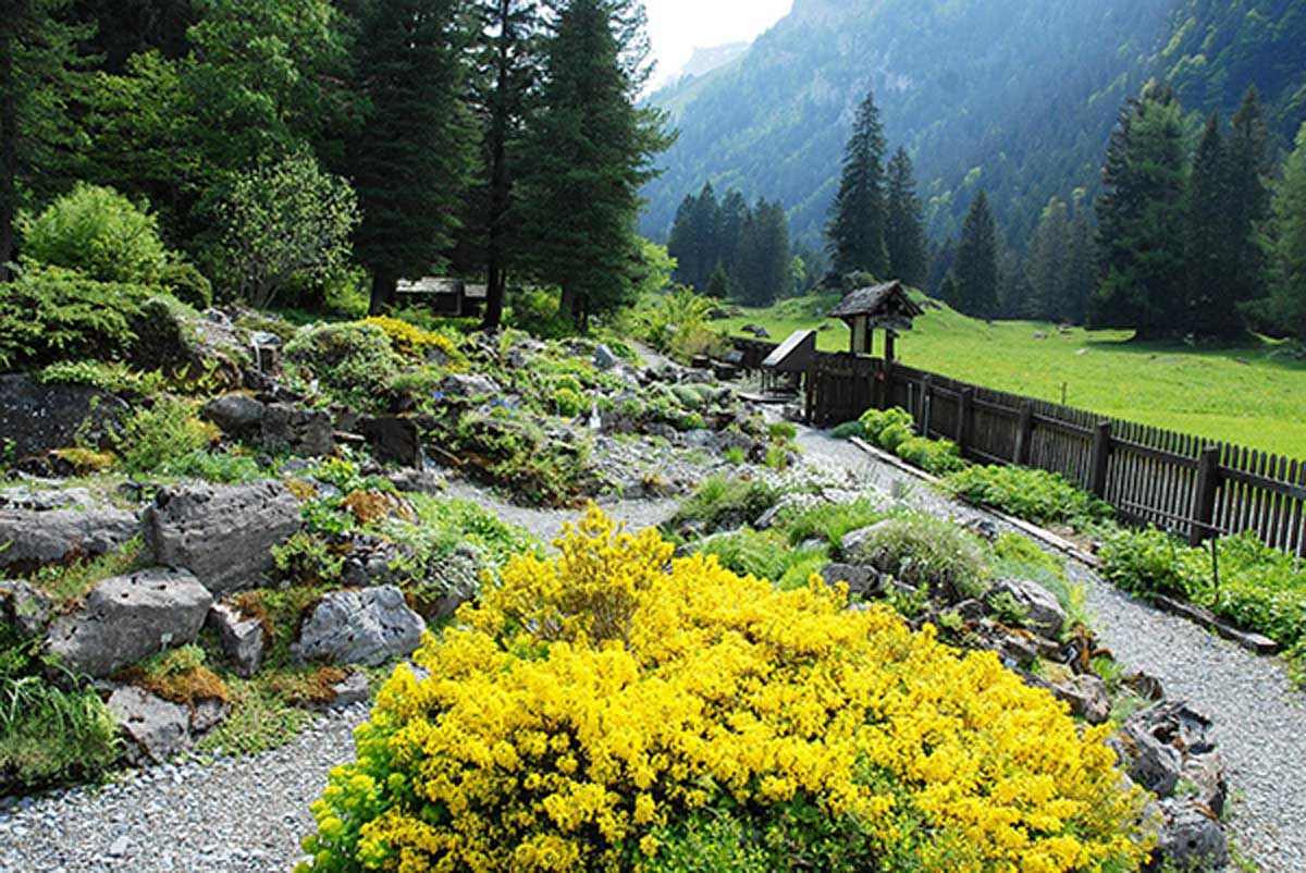 La Thomasia Botanical Garden in Switzerland