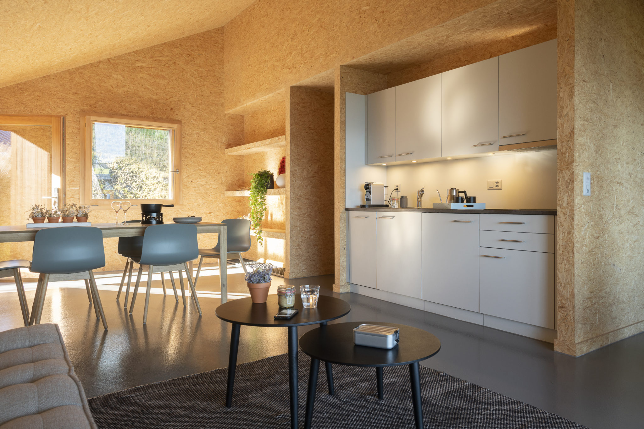 Minimalistic kitchen in holiday accommodation in Switzerland