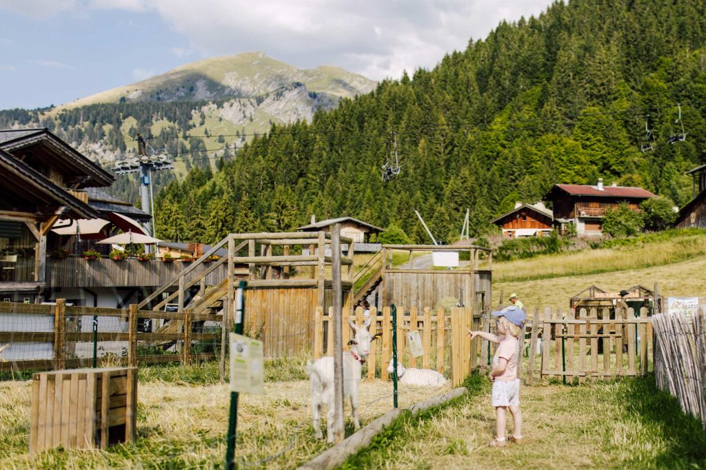 ביקור בחווה במורזין עם ילדים